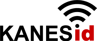 Kanes Technology Services, LLC